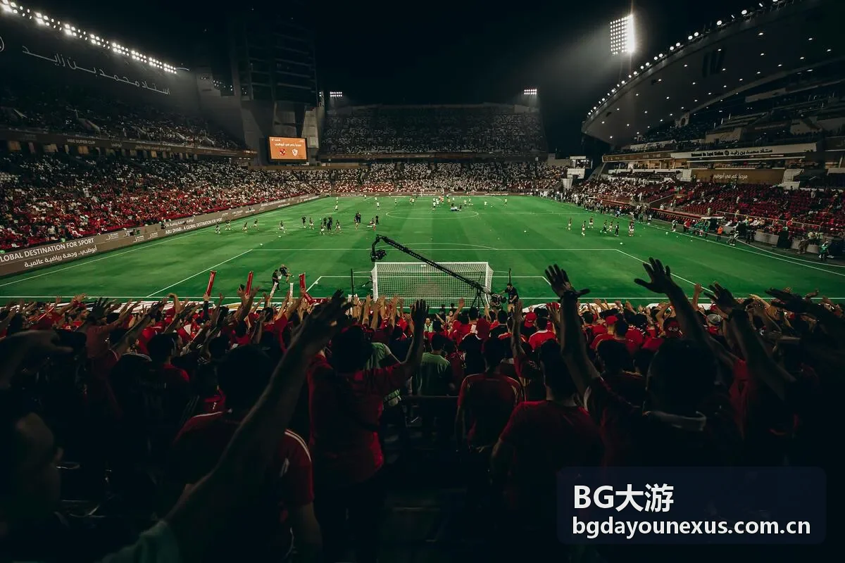 BG大游账户服务与会员管理界面